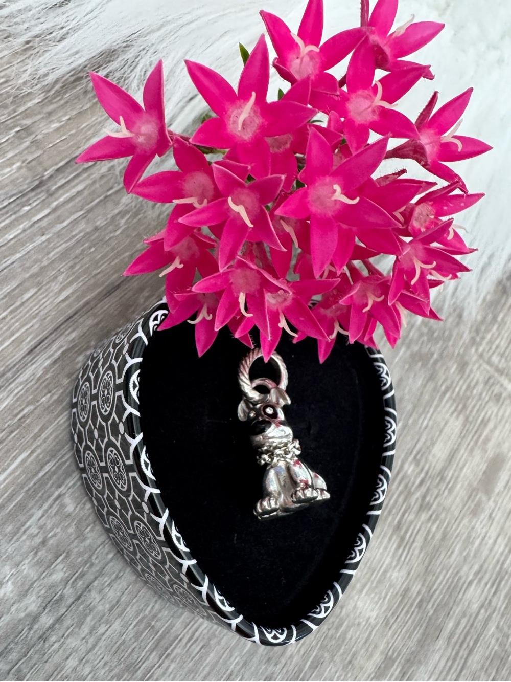 🐾 Brighton ABC Archie Dog Charm Bead